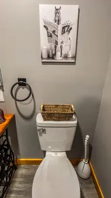 a bathroom with a toilet with a picture on the wall at Hot tub - Near the Gorge and Cave Run in Wellington