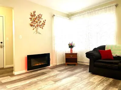 a living room with a couch and a fireplace at Emerald - GREAT PARK, 3br, Yard, Pet-Friendly in Paulding