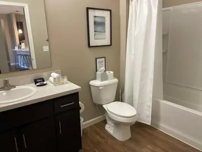 a bathroom with a toilet and a sink and a shower at The Hilliard Executive No Steps Luxury Beds in Dublin