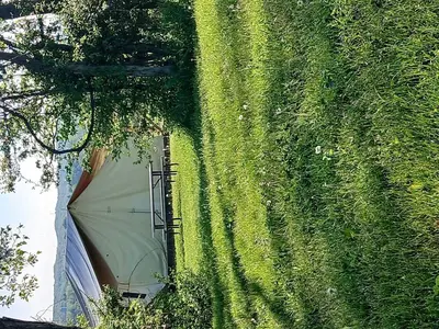 an overhead view of a green wall with an umbrella at Cozy Tented Cabin with Fire Pit and Barbecue in Logan, Ohio in Logan