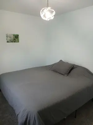 a bed in a white room with a light at Branson House Bed & Breakfast in Marion