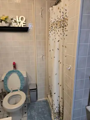 a bathroom with a toilet and a shower curtain at Cosy house, home away from home in Grove City