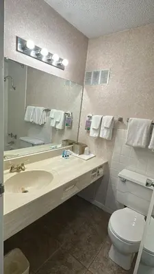 a bathroom with a sink and a toilet and a mirror at Napoleon Inn and Suites in Napoleon