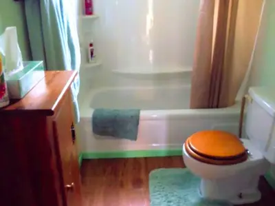 a bathroom with a toilet and a bath tub with a sink at Rustic Cabin Rental near Akron, Ohio in Dellroy