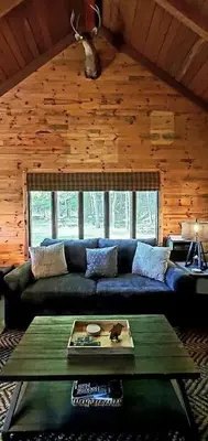 a living room with a couch and a table at Deer Haven Cabin in New Straitsville