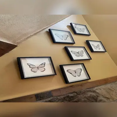 a group of framed drawings of butterflies on a wall at A-Frame #17 - by The Chalets in Logan