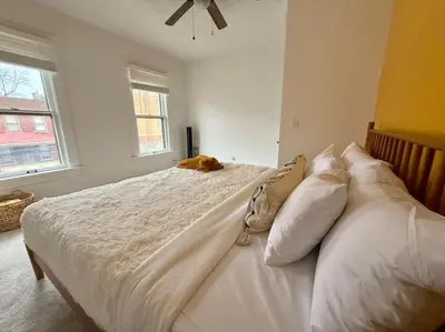 a bedroom with a bed with a cat laying on it at Jungle House Columbus Short North Downtown Free Parking - Near Convention Center & Nationwide Arena - 4BR Luxury Home - Sleeps 12 - Over 5,800 Five Star Stays in Columbus