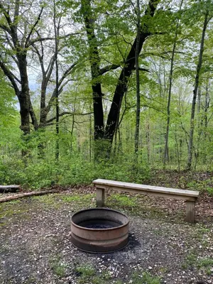 a wooden bench sitting in the middle of a forest at Elk - by The Chalets in South Bloomingville