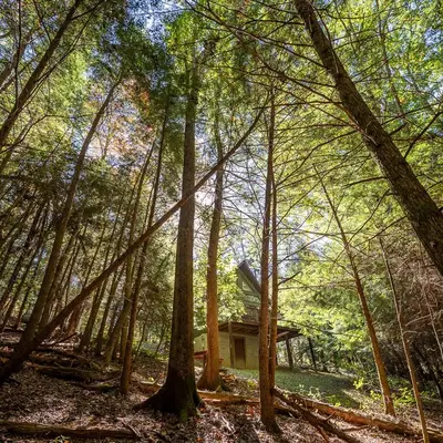 a cabin in the middle of a forest with trees at Falls - by The Chalets in Logan