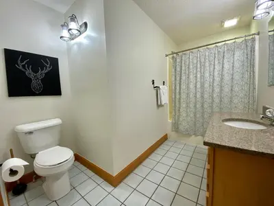 a bathroom with a toilet and a sink and a shower at Fireside Lodge - by The Chalets in Logan