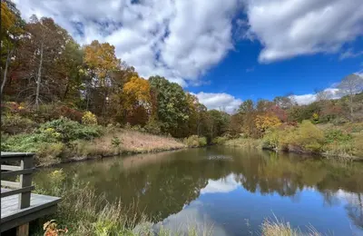 a view of a river in the fall at Overlook - by The Chalets in Logan