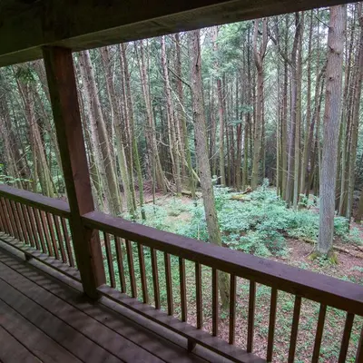 a view of the woods from the porch of a cabin at Ravine - by The Chalets in Logan