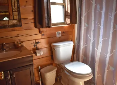 a bathroom with a toilet and a sink at Sycamore - by The Chalets in South Bloomingville
