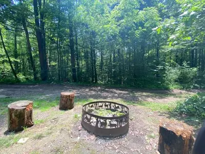 a fire pit in the middle of a forest at Timber Ridge - by The Chalets in South Bloomingville