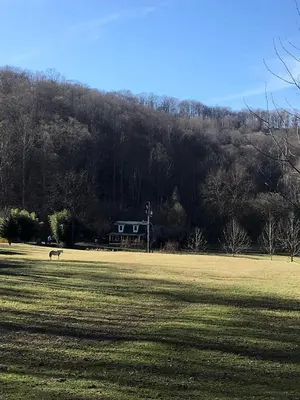 a horse in a field with a house in the background at Gorgeous Vacation Cabin for Groups with Stylish Interior near Huntington, West Virginia in Genoa