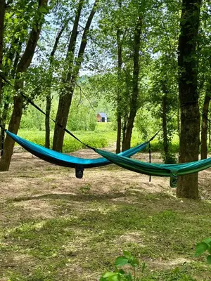a hammock hanging from two trees in a forest at Knob Hill at Three Suns Cabins in Stanton