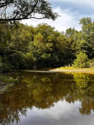 a view of a river with trees in the background at Knob Hill at Three Suns Cabins in Stanton