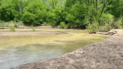 a river with dirty water and trees in the background at Trail Tamer at Three Suns Cabins in Stanton