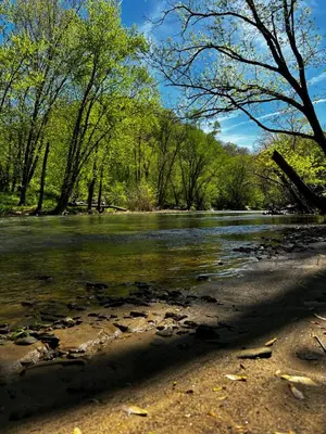 a river with trees on the side of it at Trail Tamer at Three Suns Cabins in Stanton