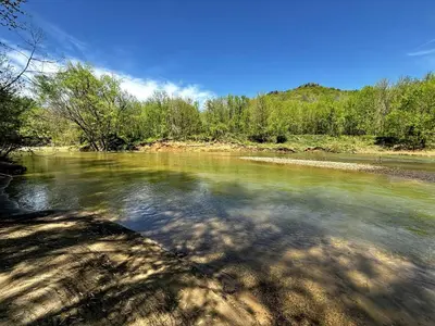 a view of a river with trees in the background at Moonrise Meadow at Three Suns Cabins in Stanton