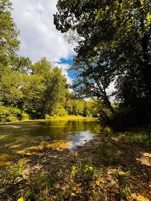a river with trees on the side of it at Perfect Perch at Three Suns Cabins in Stanton