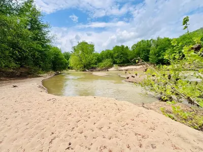a river next to a sandy beach with trees at Perfect Perch at Three Suns Cabins in Stanton