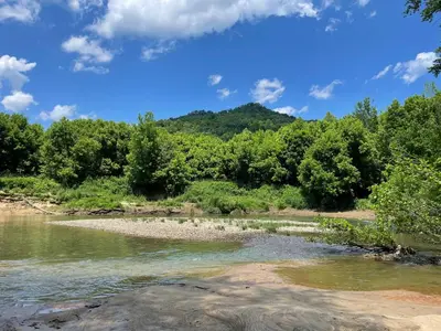 a river with trees and a mountain in the background at Perfect Perch at Three Suns Cabins in Stanton