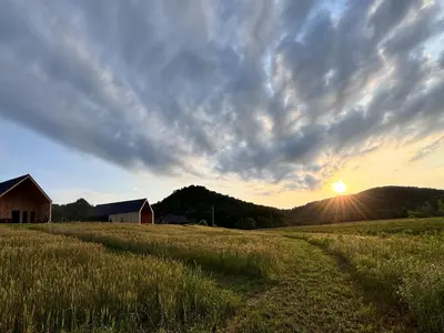a field with a barn and the sunset in the background at River Rascal at Three Suns Cabins in Stanton