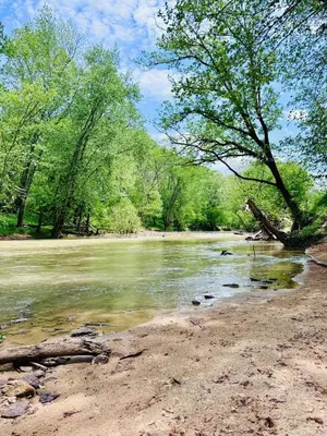 a river with a tree on the shore at River Rascal at Three Suns Cabins in Stanton