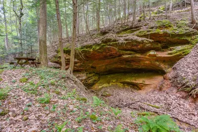 a picnic table sitting next to a creek in the woods at Hocking Hills Social Distance Cabin with Hot Tub in Laurelville