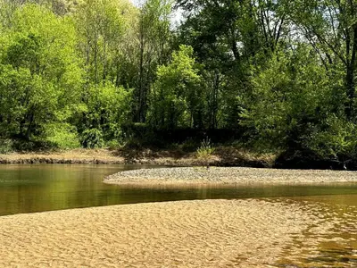 a river with a rocky shore with trees in the background at Three Suns Full Rental | 8 Cabins | Views | River in Stanton