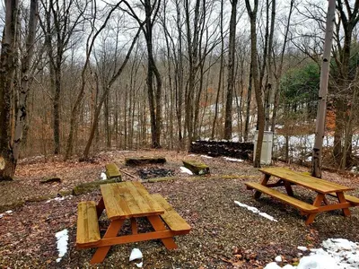 two wooden picnic tables in a park with trees at Renovated Cottage with Spa Surrounded by Beautiful Hiking Trails by Tappan Lake in Ohio in Deersville