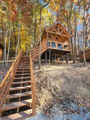 a tree house with a staircase leading to it at Lofted Cabin Wonderful for Outdoor Adventures near Tappan Lake in Ohio in Deersville