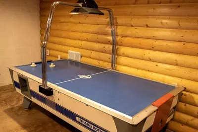 a ping pong table in front of a wooden wall at Modern Spacious Cabin near Tappan Lake with Jacuzzi and Panoramic Views in Ohio in Deersville