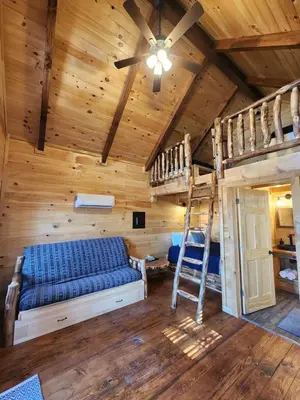 a bedroom with a bunk bed and a ladder at Wooden Chic Cabin Fully Stocked near Tappan Lake in Ohio in Deersville