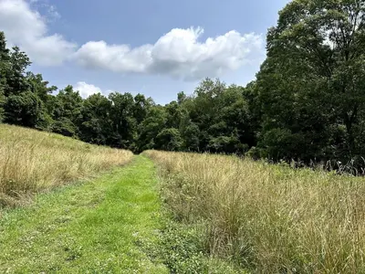 a path through a field with grass and trees at Cozy Secluded Cabin with Games and Hot-tub in Sarahsville, Ohio