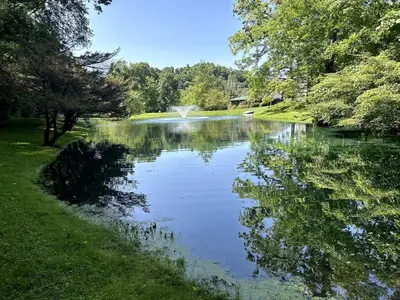 a pond in a park with trees around it at Exquisite Cabin with Amazing Interior and Exterior in Sarahsville, Ohio