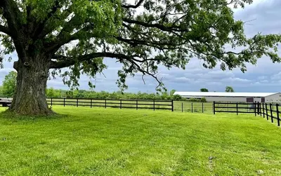 a large tree in a field next to a fence at Charming Cabin Surrounded by Woods and Fields in Oberlin, Ohio in Oberlin