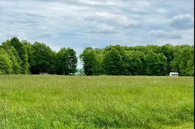 a field of green grass with trees in the background at Cozy Cabin Surrounded by Fields and Woods in Oberlin, Ohio in Oberlin
