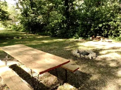 a picnic table and some animals in the grass at Secluded Cottage Rental in the Trees by Lake Erie, Ohio in Marblehead