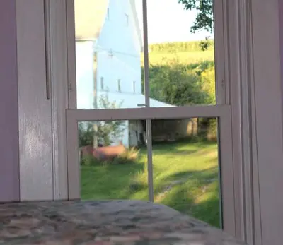 an open window with a view of a yard at 1800s Farmhouse Cottage Rental on a 230 Acre Farm in Muskingum County, Ohio in Frazeysburg