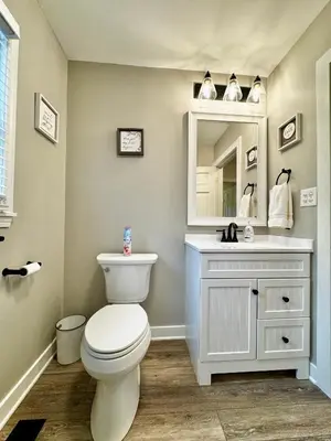 a bathroom with a toilet and a sink and a mirror at Hawks Nest in Marion