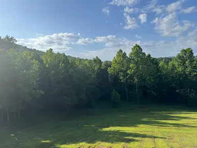 a large field with trees in the background at The Murphy in Sutton