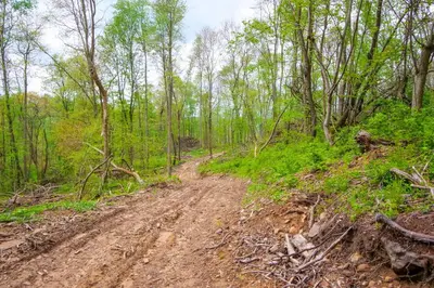 a dirt road in the middle of a forest at Cabin with Trail Access to Mohican River in Brinkhaven