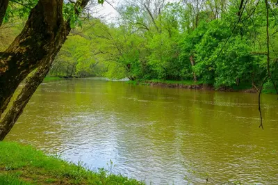 a river with green water and trees on the side at On-Site Trails to Mohican River Tiny Home Retreat in Brinkhaven