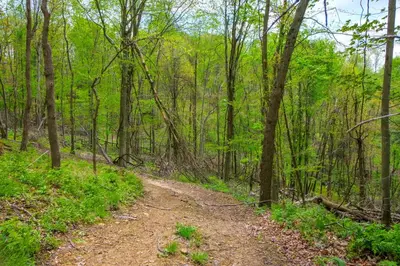 a dirt trail in the woods with trees at On-Site Trails to Mohican River Tiny Home Retreat in Brinkhaven