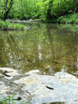 a body of water with trees in the background at Magical Family Tree House in Secluded Woodland near Germantown, Kentucky in Germantown