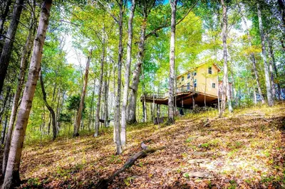 a tree house in the middle of a forest at Magical Family Tree House in Secluded Woodland near Germantown, Kentucky in Germantown
