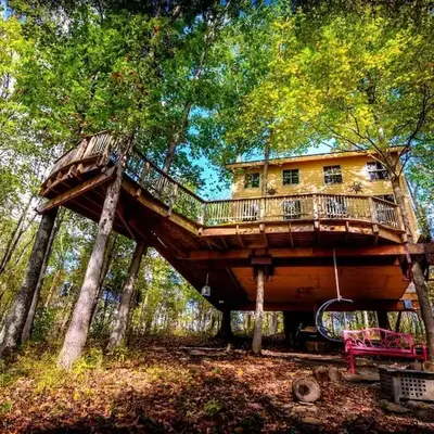 Magical Family Tree House in Secluded Woodland near Germantown