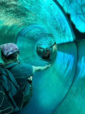 a person in a tunnel in an aquarium at Enchanting Tree House with a Slide on 200 Acres for a Family Adventure in Germantown, Kentucky in Germantown